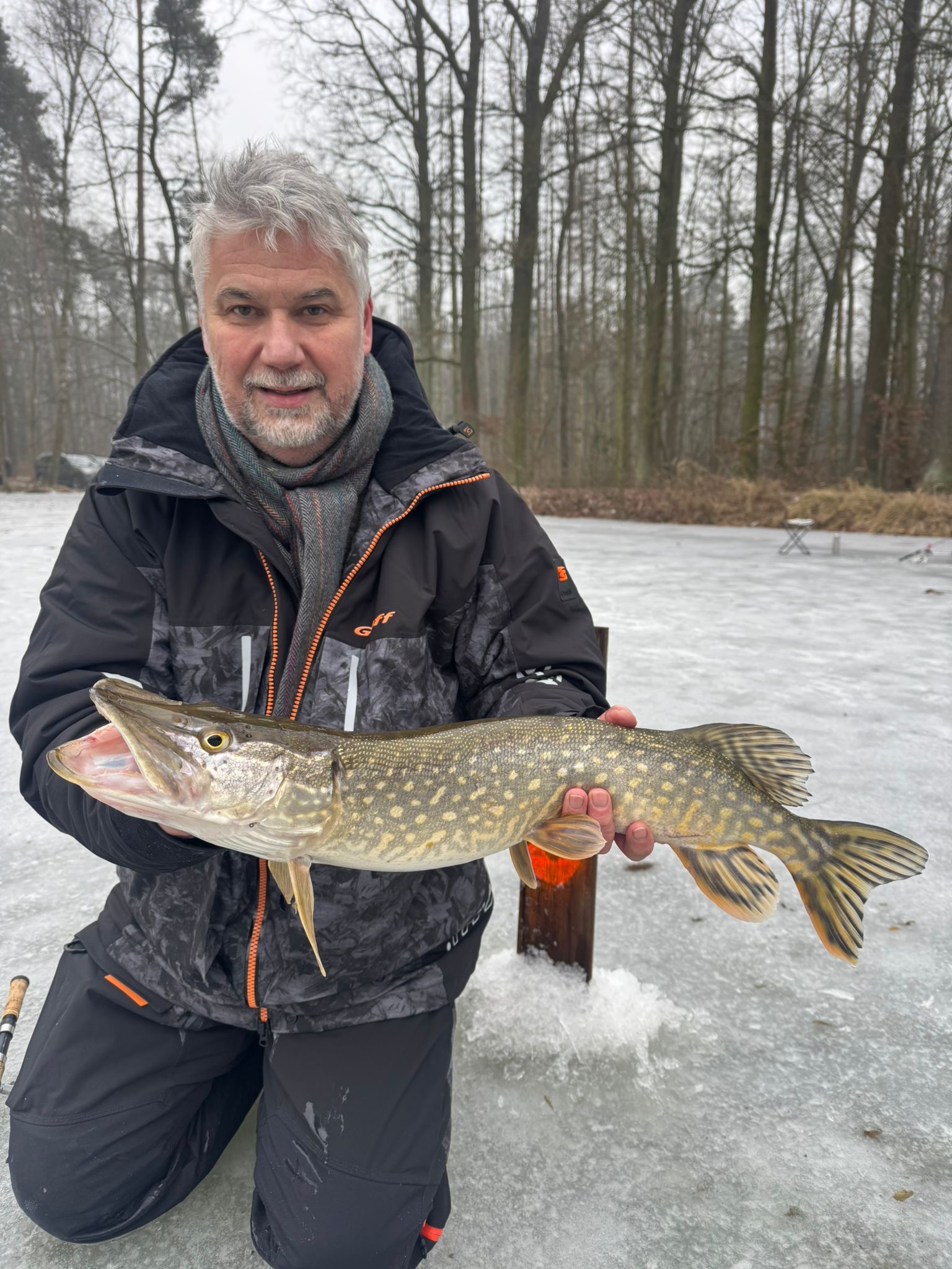 28d5d274-48e3-4448-8721-acf9fd623c1a